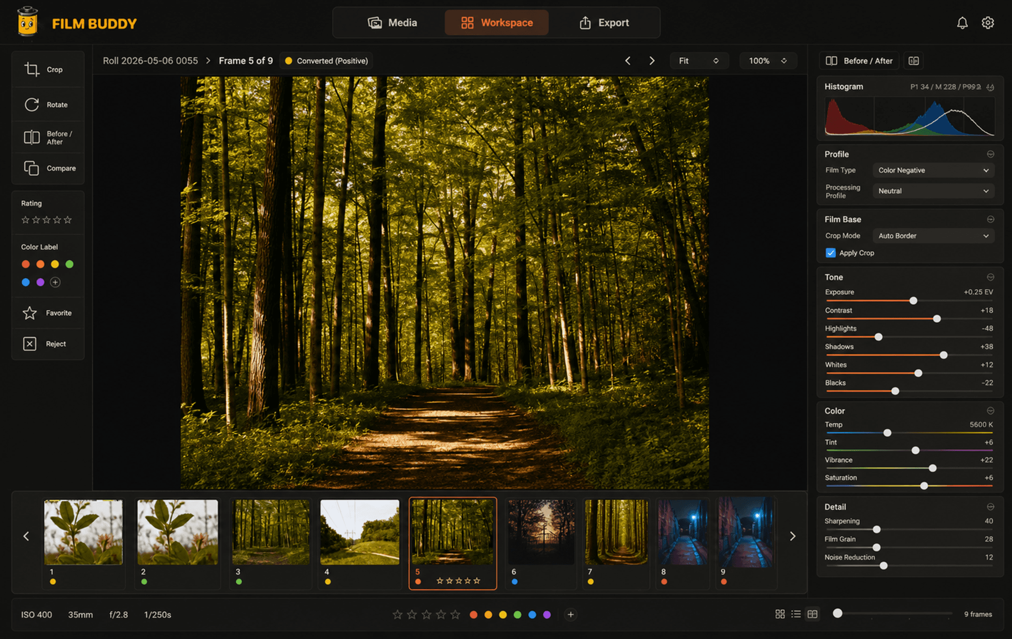 Film Buddy workspace with converted film scan and adjustment controls